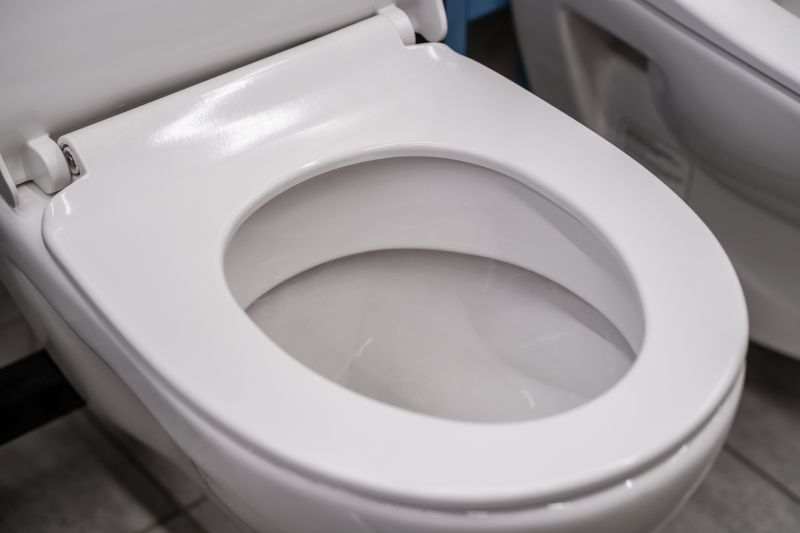 Toilet Replacement